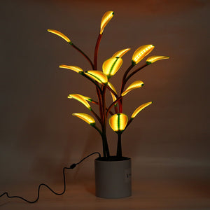 Fluora Magical LED Houseplant Lamp
