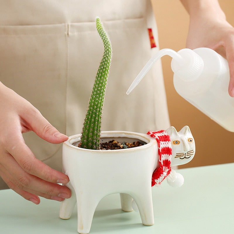 Cat Ceramic Flowerpot